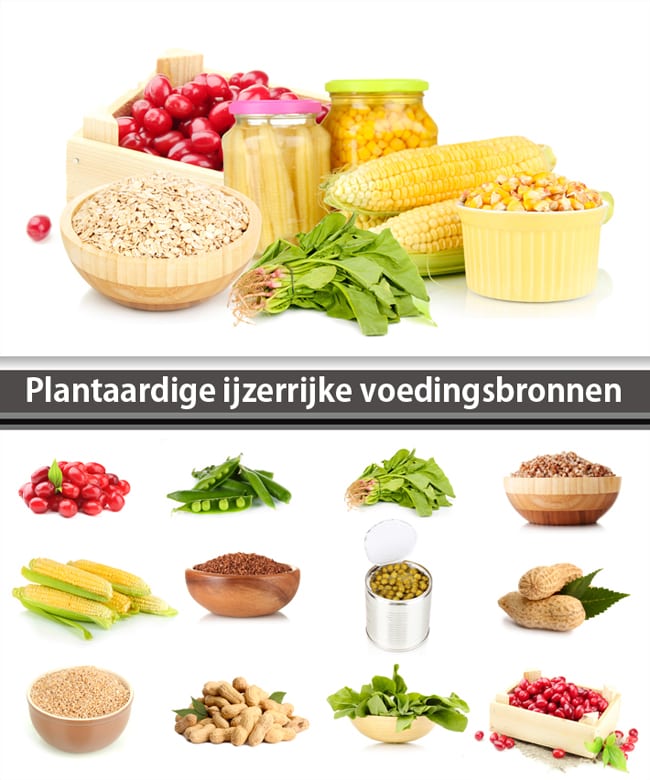 gerucht Kan niet lezen of schrijven ethiek Lijst met ijzerrijke voedingsmiddelen: voedsel met veel ijzer - Gezondr.nl