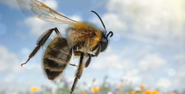 Allergie: wat is een allergische reactie en wat kun je ertegen doen?