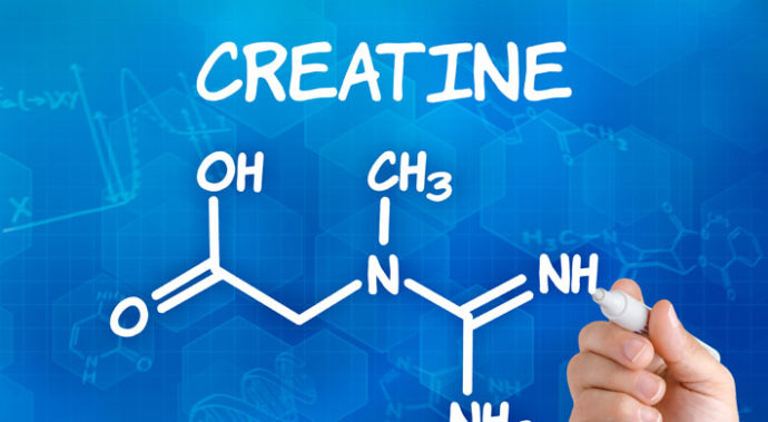 creatine creatinepoeder bestellen