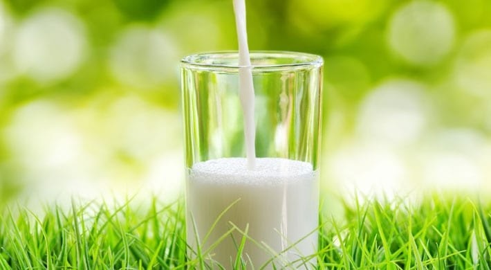 Allergisch voor koemelk-eiwitten: 5 tips bij koemelkallergie - Gezondr.nl