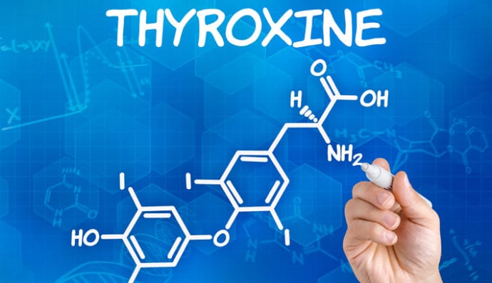 schildklierwaarden thyroxine triiodothyronine