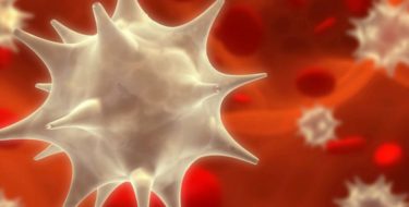 EHEC-bacterie – Alles over besmetting, symptomen & behandeling