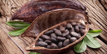 rauwe cacao pure chocola