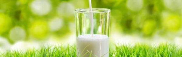 melk ongezond koemelk gezondheid