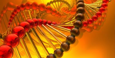 Vitamine B12-tekort: klachten, behandeling & supplementen